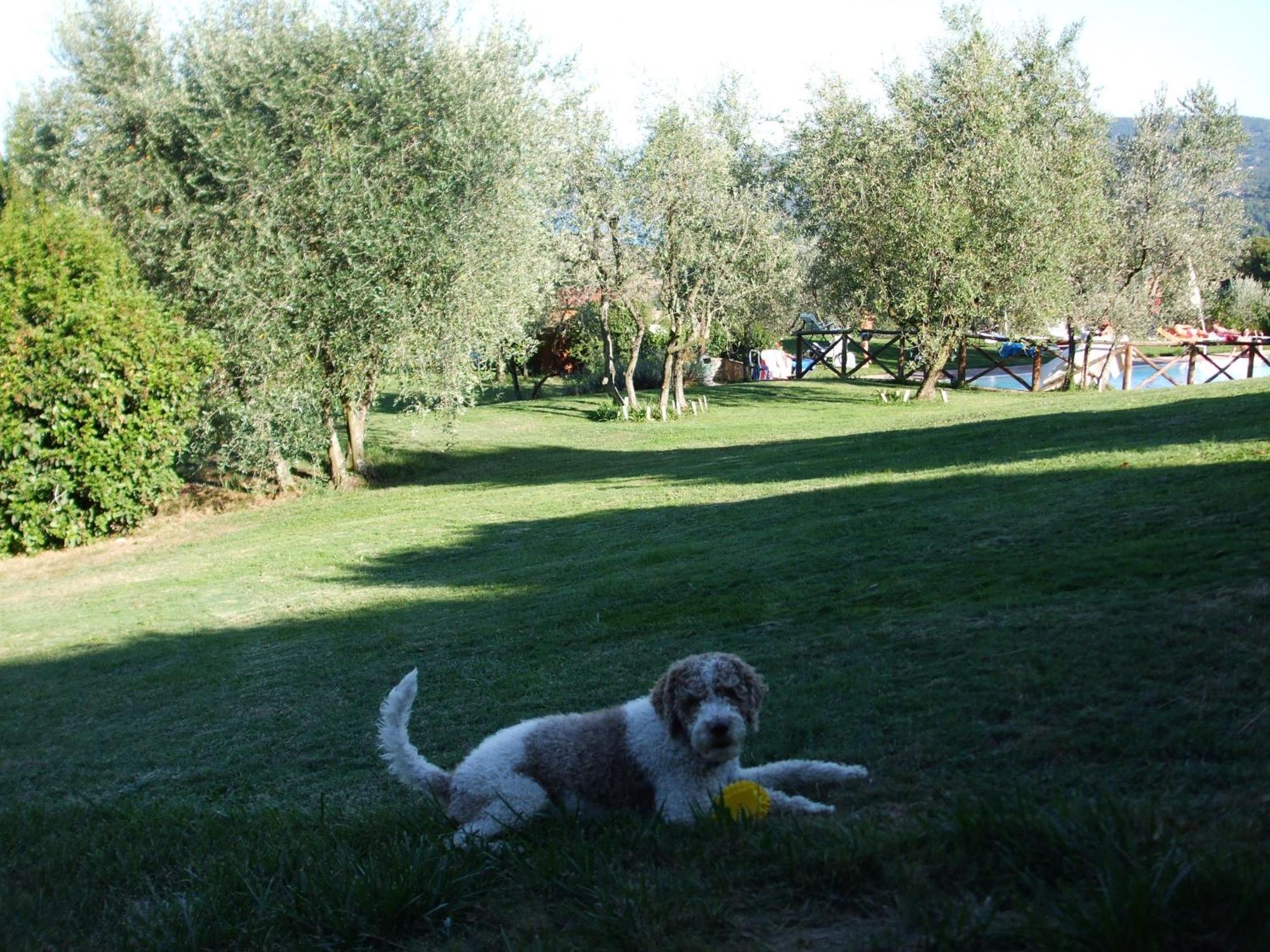 Poggio Agli Ulivi Vila Barberino di Mugello Exterior foto